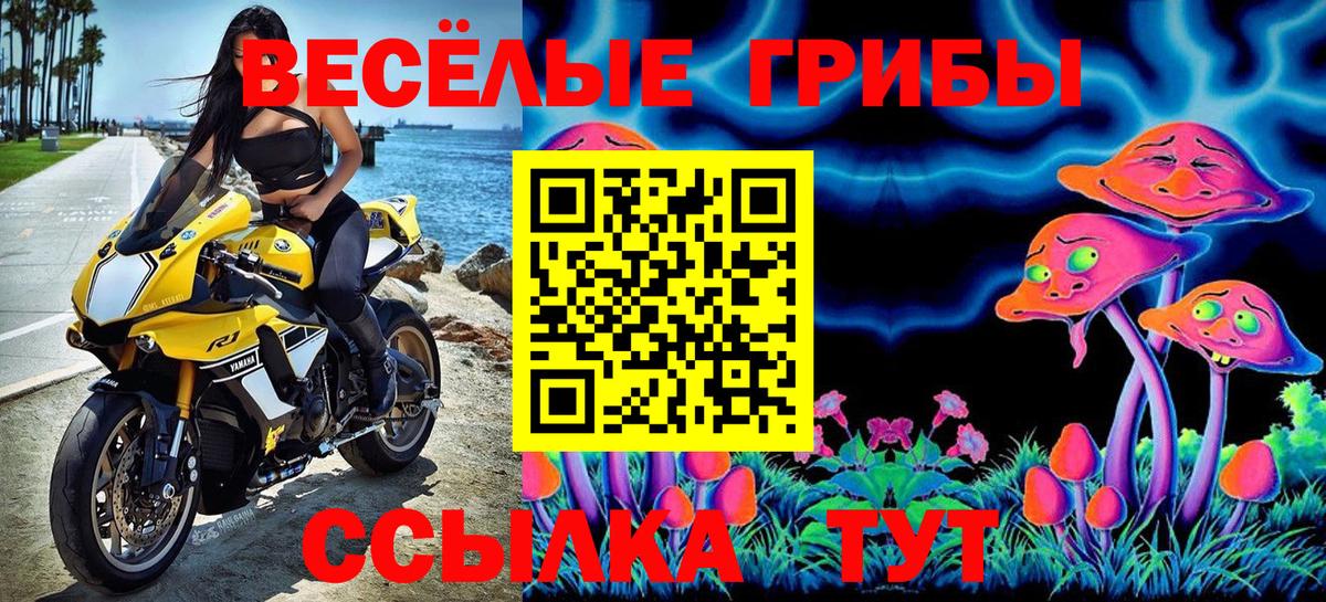 Галлюциногенные грибы MAGIC MUSHROOMS  где можно купить наркотик  Галлюциногенные грибы прущие грибы  Якутск  Вход с VPN 