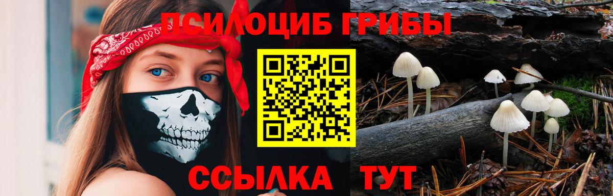 Галлюциногенные грибы Magic Shrooms Якутск